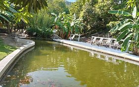 Finca Los Mangos